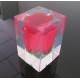 Transparent polyester resin for casting 4,7kg |